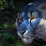 thecartoontiger