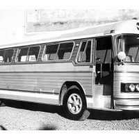 nicolabus